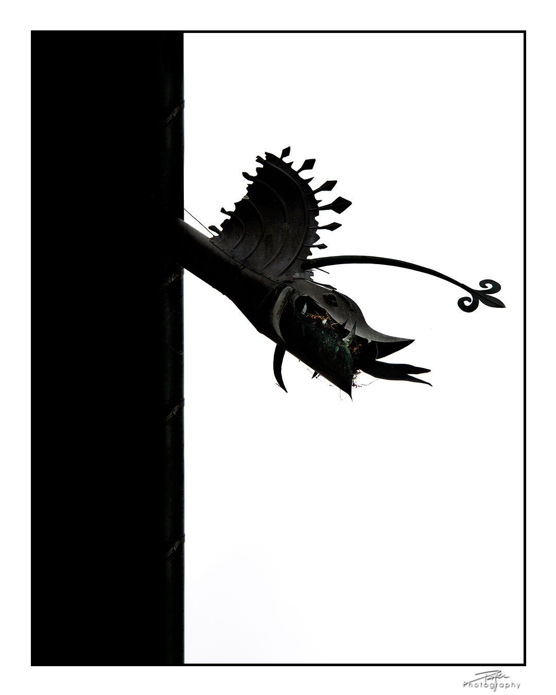 30.11.2022 - Like a Silhouette / Wie eine Silhouette